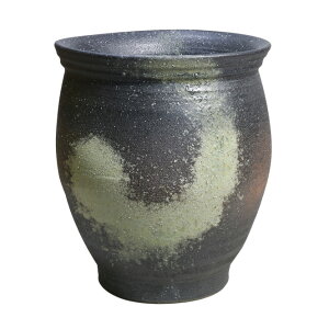 P  My qϚ^ P JXj Vzj zj 蕨 Mtg v[g ֎[ ֐ ʂ艮