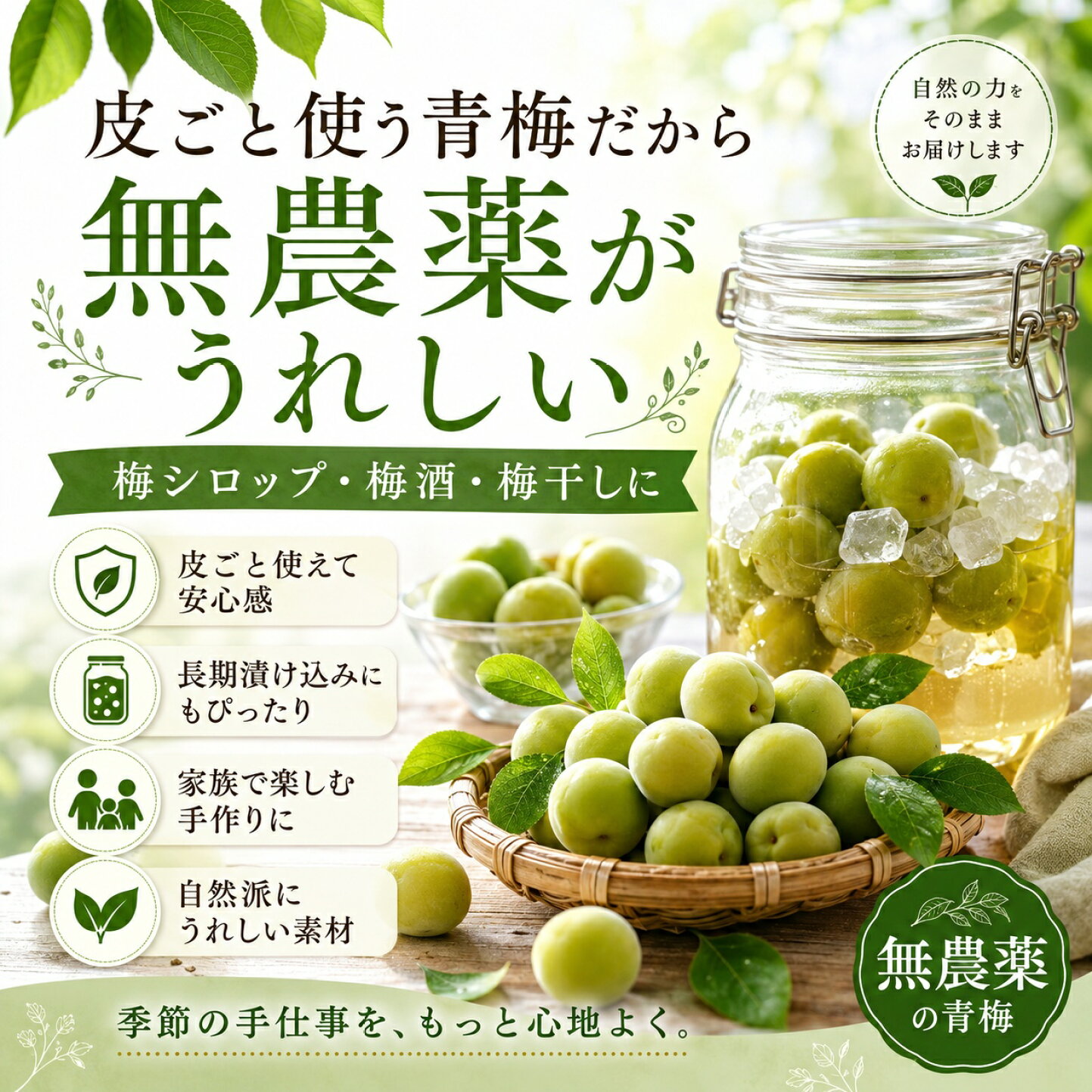 楽天市場 | 彩り屋×すごい梅干し屋 - 【数量限定・早期終了あり】無 