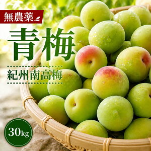 �~ 1�L�� �~��p 10�L�� �~�����p 5�L�� 10kg �썂�~ ���~ 1kg 2kg 5kg 20kg 30kg 4L �͔|���Ԓ��_��s�g�p �����w�엿 �F��Y �I�B�Y �a�̎R���Y �~�V���b�v �~�W���[�X �\�� �������� �ʂ艮 4���b