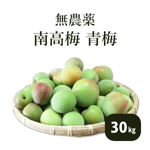 �~ �썂�~ ���~ 1kg 2kg 5kg 10kg 20kg 30kg ���_�� �����w�엿 �F��Y �I�B�Y �a�̎R���Y �~��p �~�V���b�v �~�W���[�X �~�����p �\�� �������� �ʂ艮