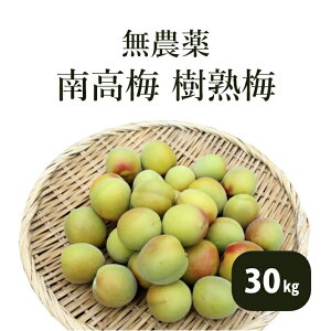 ���n�~ ���n�~ �썂�~ ���~ 1kg 2kg 5kg 10kg 20kg 30kg ���_�� �����w�엿 �F��Y �I�B�Y �a�̎R���Y �~�����p �~��p �~�V���b�v �~�W���� �\�� �������� �ʂ艮