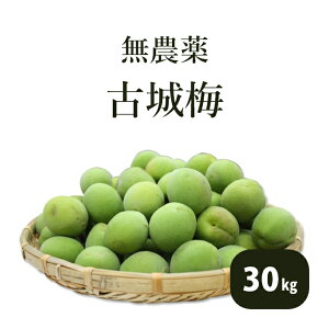 �Ï�~ �~ ���~ 1kg 2kg 5kg 10kg 20kg 30kg ���_�� �����w�엿 �F��Y �I�B�Y �a�̎R���Y �~��p �~�V���b�v �~�W���[�X �~�G�L�X �\�� �������� �ʂ艮