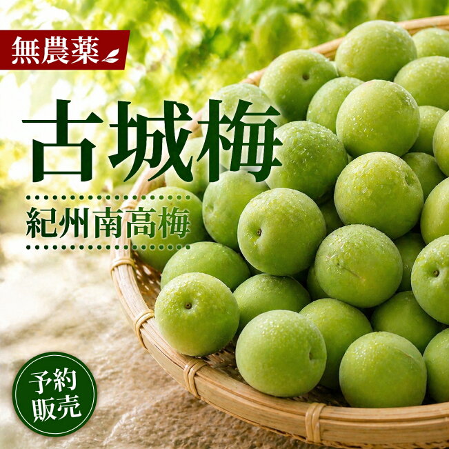 楽天市場 | 彩り屋×すごい梅干し屋 - 【数量限定・早期終了あり】無 