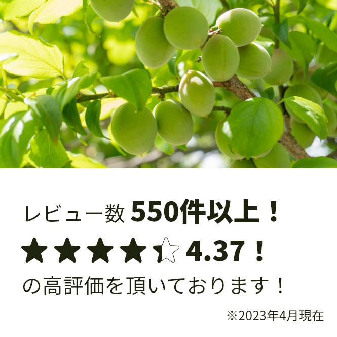 82％以上節約 本日6 13採りたて和歌山県産無農薬南高梅 １キロ general