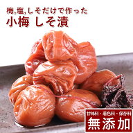 小梅 梅干し しそ漬 100g 300g 500g 1kg 紀州小梅 梅干 うめぼし 梅ぼし しそ漬け 紫蘇漬け しそ 減塩 送…
