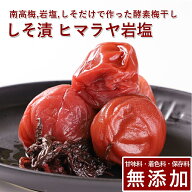 南高梅 梅干し しそ漬 100g 300g 500g 1kg ヒマラヤ岩塩使用紀州南高梅 梅干 うめぼし 梅ぼし しそ漬け …