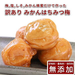 󂠂 썂~ ~ ݂I 300g 500g 1kgIB썂~ ~ ߂ڂ ݂͂Ђ ݂͂~ ݂  ƒp  a̎R ۑ F Y Ysgp _ _sgp 