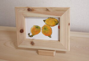 IBЂ̂ʐ^ (tHgt[) 21cm16cm ()t |XgJ[hΉ ʐ^Ď󂯕tY F̗ǎqmLގgp (w) ؐz ʂ艮