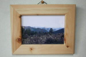 IBЂ̂ʐ^ (tHgt[) z (Ԃ) 38cm29cmY F̗ǎqmLގgp (w) ؐz ʂ艮