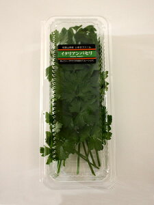 �C�^���A���p�Z�� (�p�[�X���[) 15g �t���b�V���n�[�u �H�p �a�̎R���Y����ŃX�[�v��T���_�����̃f�R���[�V�����ɃT���_��T���h�C�b�`�A�X�[�v�A�ύ��ݗ����ɕ��L���g���܂� �ʂ艮