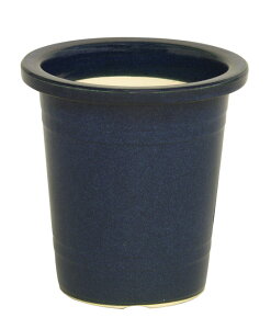 qR 10My Aؔ K[fjO 픫 | R쑐 ʂ艮