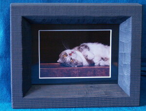 蔲z  ʐ^ZbgؒH[ (smtb-k) (w4) (smtb-m) ʂ艮