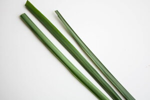 OX 50g tbVn[u Hp a̎RYn[ueB[gNA̍tɃn[ueB[AŃGXjbNA^Cɂ悭g܂ n6`9