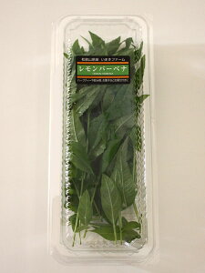 o[xi 15g tbVn[u Hp a̎RYn[ueB[ݕAَqȂǂ̍t 4`10 ʂ艮