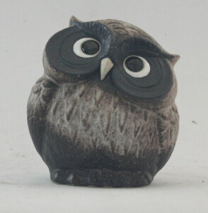 񂩂ӂ낤5My  u  tNE N JXj Vzj zj v[g 蕨 Mtg ʂ艮