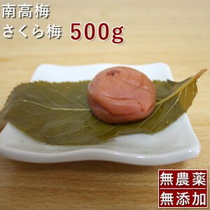 南高梅 梅干し さくら梅 500g紀州南高梅 梅干 うめぼし 梅ぼし 桜梅 さくら 桜 春 減塩 送料無料 ギフト プレゼント 贈り物 期間限定 和歌山 保存料 着色料 無添加 無農薬 栽培期間中:農薬不使