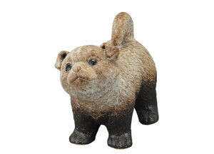 y}͂̕zȁ`ɐMy  u  JXj Vzj zj v[g 蕨 Mtg ʂ艮