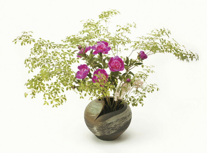 楽天市場】信楽焼 雲 花器 花瓶 陶器 花入れ 彩り屋 : 彩り屋