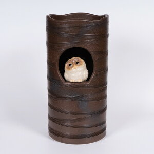 y}͂̕zyŒZzIzP  My ӂ낤 P 킢 JXj Vzj zj 蕨 Mtg v[g ֎[ ֐ ʂ艮