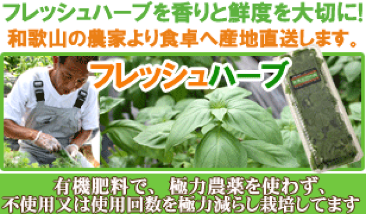 フレッシュスイートバジル2kg 国産 スイートバジル 1パック 総量：約25g（目安 17g） パック