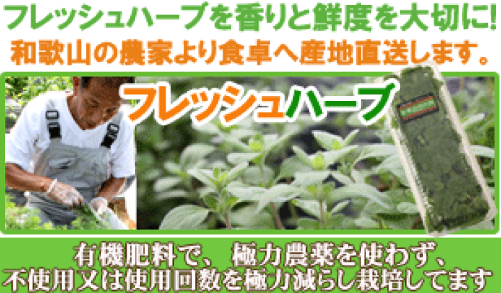楽天市場 スイートマジョラム 15g フレッシュハーブ 食用 和歌山県産肉の臭い消し 風味づけやハーブティーに 彩り屋 彩り屋