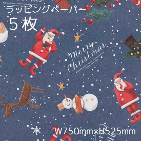 5枚 愉快な クリスマス 包装紙 半紙 W750×H525mm ラッピングペーパー 用紙 贈り物 クリスマスプレゼント クリスマスギフト デザイン 柄 サンタ クリスマスラッピング プレゼント ギフト ラッピング おしゃれ かわいい キッズ 子供 枚 少量 少し