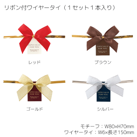 1本 リボン付ワイヤータイ ワイヤータイ リボン ワイヤー ワイヤーリボン カラーリボン 布リボン 綿リボン サテンリボン リボン付 簡単 留め具 ラッピング ギフト プレゼント タグ　付 タグ 柄 デザイン 無地