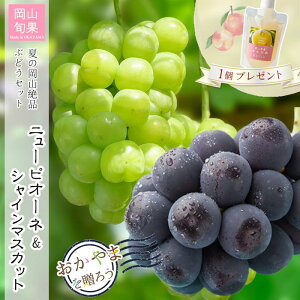 y\ti 2025N8{ \zRY ẲRԂǂZbgij[sI[lAVC}XJbgje1[ e500g 1kg R Ԃǂ  ʕ Ȃ 炲 p Mtg 