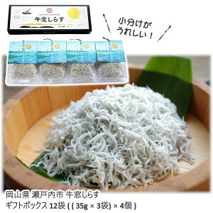 y[J[z炷 Mtg{bNX 12܁i35g×3܁j×4  (kCAꏜ) R n Y {̃G[QC ӂ Mtg  CY ˓C  䒆 