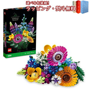 S(LEGO) ACR Cht[u[P 10313 {^jJRNV CeA  ԑ  ubN erQ[ j̎q ̎q 18Έȏ l 蕨 NX}X v[g 