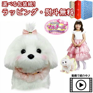 klVit Heart ۂvZX}`[Y Bbgn[g i  3 V V b ybg  ʂ  킢  V