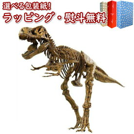 〔☆〕EDU-TOYS エデュトイ VT026 恐竜工作キット 51ピース ティラノサウルス 8歳 工作 夏休み 宿題 工作キット ハンドメイド 知育 学習 恐竜 簡単 ものづくり ギフト プレゼント 誕生日 お祝い 贈り物 ブラックフライデー クリスマス