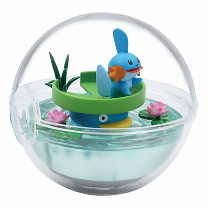 送料無料 リーメント ポケットモンスター テラリウムコレクション8 Box 全6種セットフルコンプリートセット 当店限定販売