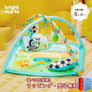 kPlKids2 Bright Starts 12937 Obv&LbN ANeBreBW 17165 LbYc[ uCgX^[c xr[W vCW vC}bg TbJ[ I[{[ Q Ԃ 0 m oY