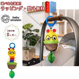 kPl Kids2 Baby Einstein ԂԂJtނ 16887 nMOgC ނ ނ  xr[J[ t Ԃ 0 oYj a Mtg v[g NX}X xr[