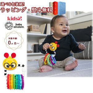 kPl Kids2 Baby Einstein OZbg ނ̃J 17496 xr[O ނ ނ  h~ xr[J[ t Xgbv Ԃ 0 oYj a Mtg v[
