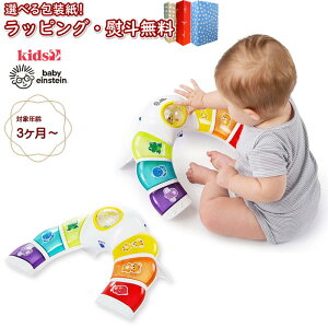 �k���lKids2 Baby Einstein 11083 �O���[&�f�B�X�J�o�[�E���C�g�o�[ �L�b�Y�c�[ �x�r�[�A�C���V���^�C�� ���y �����Ȃ� �������� ���� �Ԃ���� �x�r�[ 0���� �m��ߋ� ���� �p�� �����V�ׂ� �o�Y�j