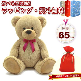 Vit Heart くまのぬいぐるみ 65cm（ベージュ）【ラッピング袋付き】ヴィットハート おもちゃ ぬいぐるみ 布製おもちゃ 男の子 女の子 3歳 ギフト プレゼント 誕生日 お祝い 贈り物 ブラックフライデー クリスマス