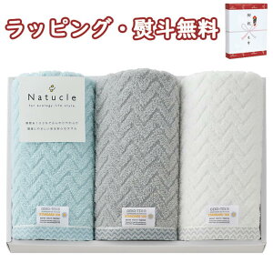 klyʉizNatucle tFCX^I 3 N-80300 Zbg Q100 GRebNX100 j T @v Ԃ  e{ V u 䋟 o 蕨 j LOi ii ei   