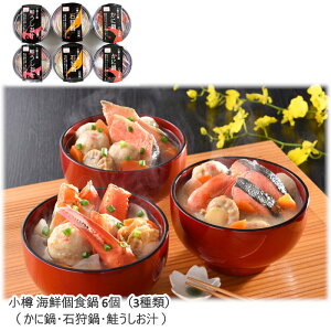 k`Vly[J[zM CNH 6i3ށj  s lߍ킹 Mtg Zbg 1lO̊CNZbg ɓEΎE` Ε p Mtg yY v