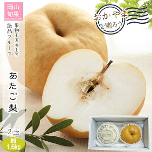 k`Vly[J[zRY  2 1.6kg R  lߍ킹 Mtg  ʕ t[c Ε p Mtg yY v[g   (kCAꏜ