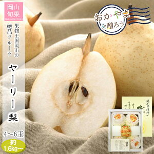 k`Vly[J[zRY [[ 4`6 1.6kg` R  lߍ킹 Mtg  ʕ t[c Ε p Mtg yY v[g   (kC