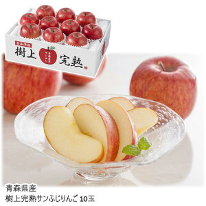 k`Vly[J[z XY ㊮nTӂ 10 H-A4S  s t[c ʕ  lߍ킹 Mtg Ε p j Mtg yY a v[