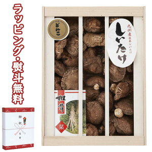 yzBY؂ǂ񂱒őiؔj KT-70S  (kCAꏜ) Hi VC^P  o j j T Ԃ ii ei  yY hV̓ A H z ސE