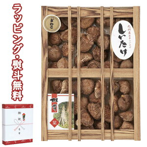 yzBY؂ǂ񂱒őiؔj KT-100S  (kCAꏜ) Hi VC^P  o j j T Ԃ ei  yY hV̓ A H z ސE 