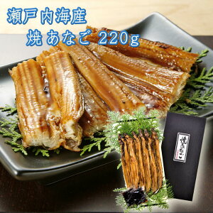 y[J[z˓CY ĂȂ 220g YA-22  (kCAꏜ) R n Mtg  CY ˓C  䒆 Ε v[g a yY j Ԃ yY