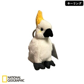 楽天市場 オウム 返し の おもちゃの通販