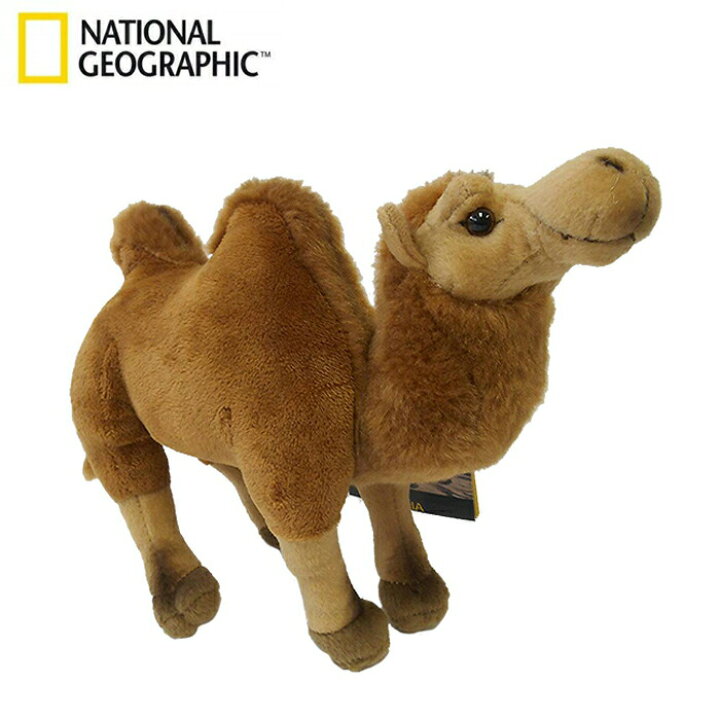 楽天市場 National Geographic フタコブラクダの赤ちゃん b ナショナルジオグラフィック 誕生日 プレゼント ギフト 男の子 女の子 赤ちゃん 子供 出産祝い おしゃれ 室内 遊び ブラックフライデー クリスマス いろは堂本店