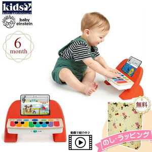 Kids2 Baby Einstein 12577 }WbN^b`EsAmEt@[XgEfB[ LbYc[ xr[ACV^C i ؐ ؂̂ y sAm yV wV xr[gC mߋ