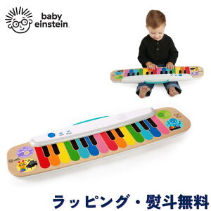 sAm L[{[h  yߋ mߋ  ؐ ؂̂ Vׂ oYj a NX}X xr[ACV^C Baby Einstein LbYc[ Kids2 }WbN^b`EL[{